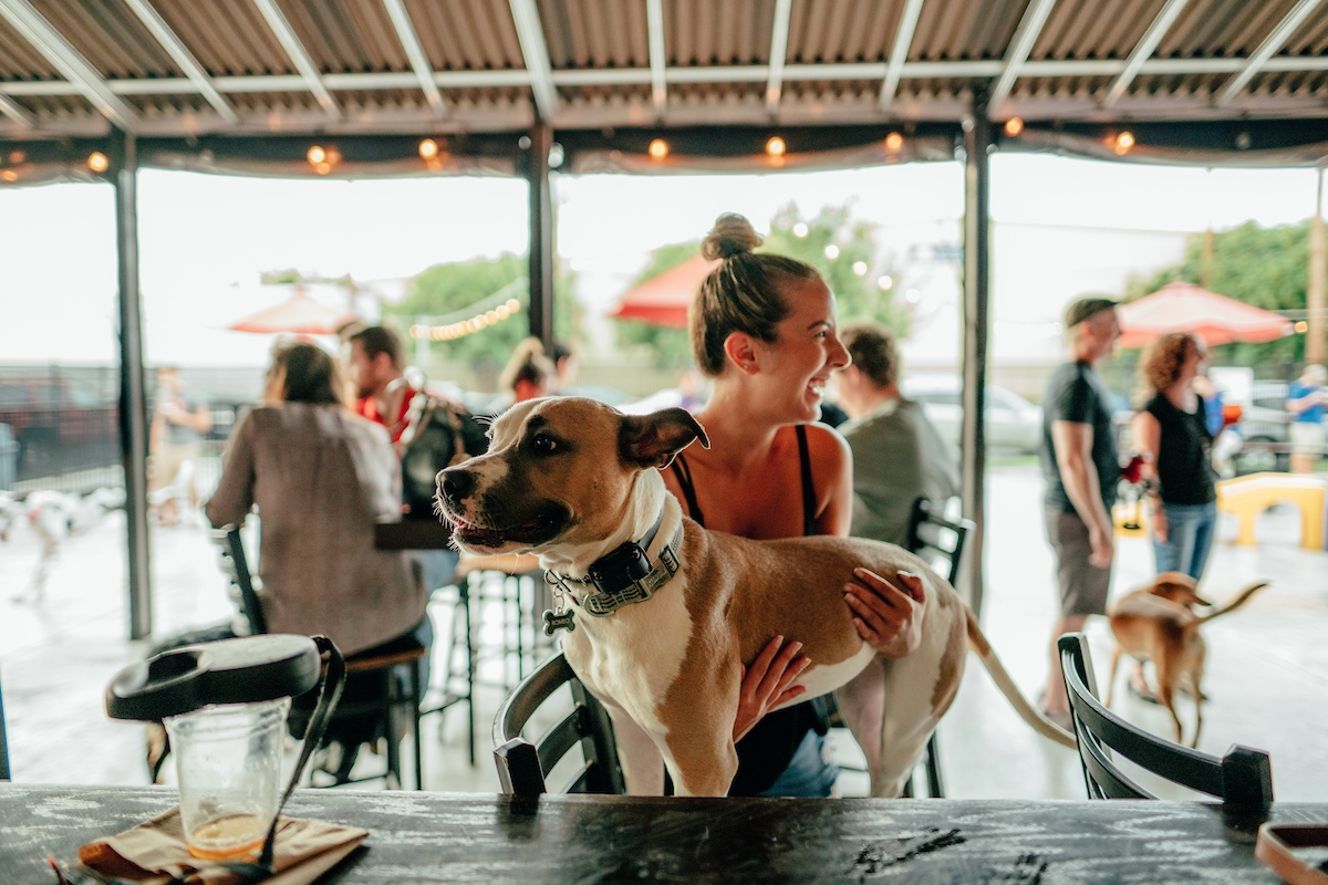 The Best Dog-Friendly Activities in Charlotte